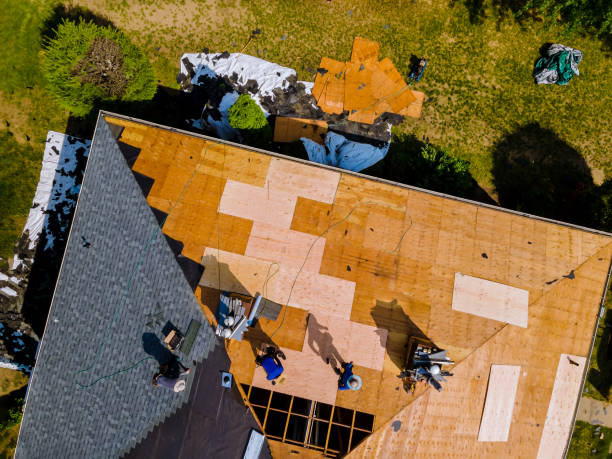 Best Metal Roofing Contractor  in Mount Olive, IL