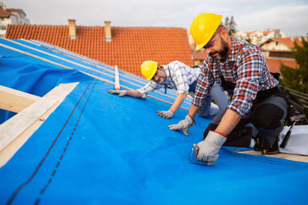 Best Sealant for Roof  in Mount Olive, IL