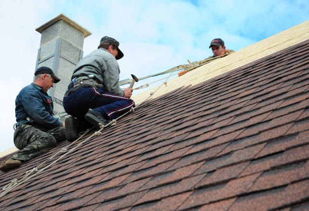 Best New Roof Installation  in Mount Olive, IL