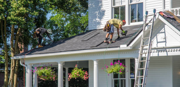 Best Metal Roofing Contractor  in Mount Olive, IL