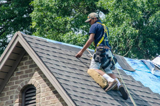 Best Roof Repair Services  in Mount Olive, IL